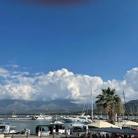Casa Corsica - Appt Climatise Proche De La شقة Belgodère